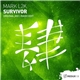 Mark L2k - Survivor